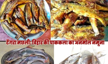 टेंगरा मछली: बिहार की लोकल पसंद और पाककला का नायाब हिस्सा